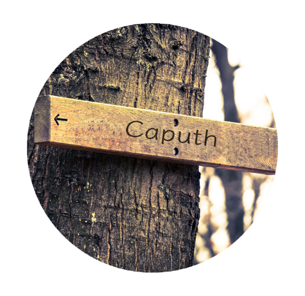 Makler Caputh: Wegweiser