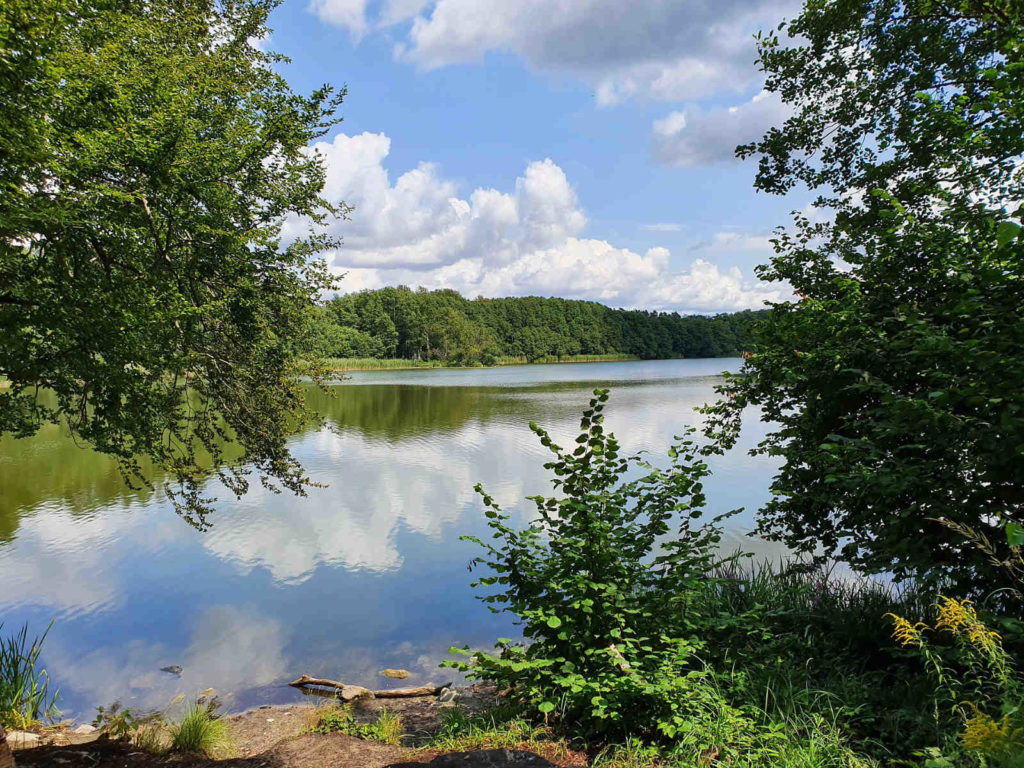 Makler Barnim - Amtssee im Kloster Chorin