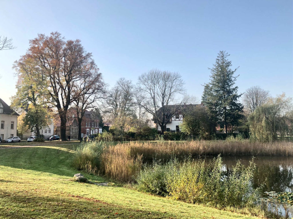 Makler Falkensee 14612: Falkenhagener Strasse Immobilien