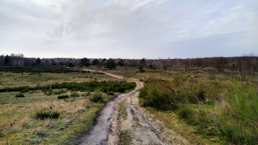 Makler Wustermark 14641: Döberitzer Heide