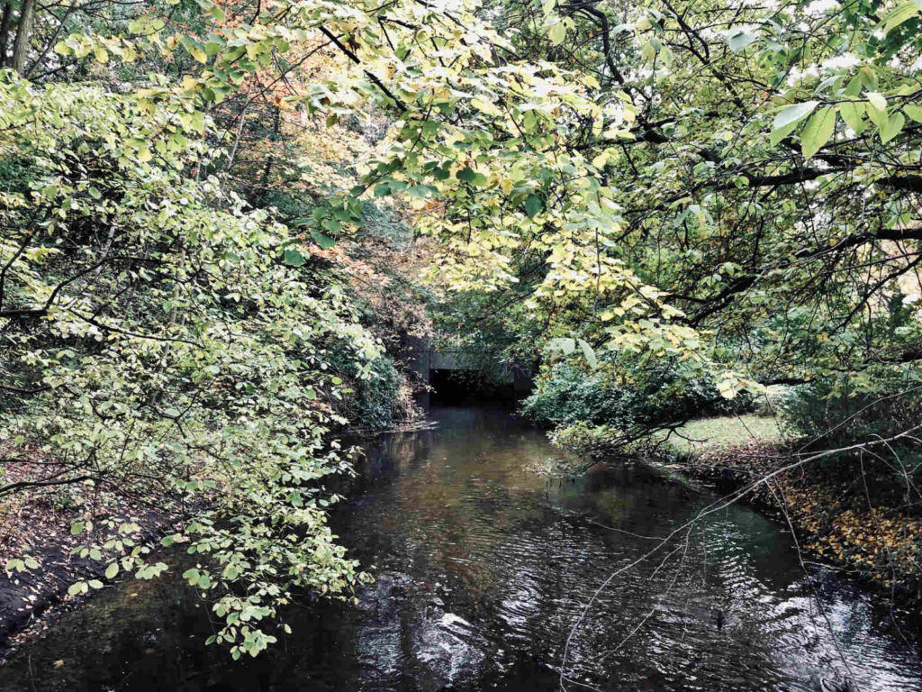Makler Pankow: Die Panke im Schlosspark Niederschönhausen