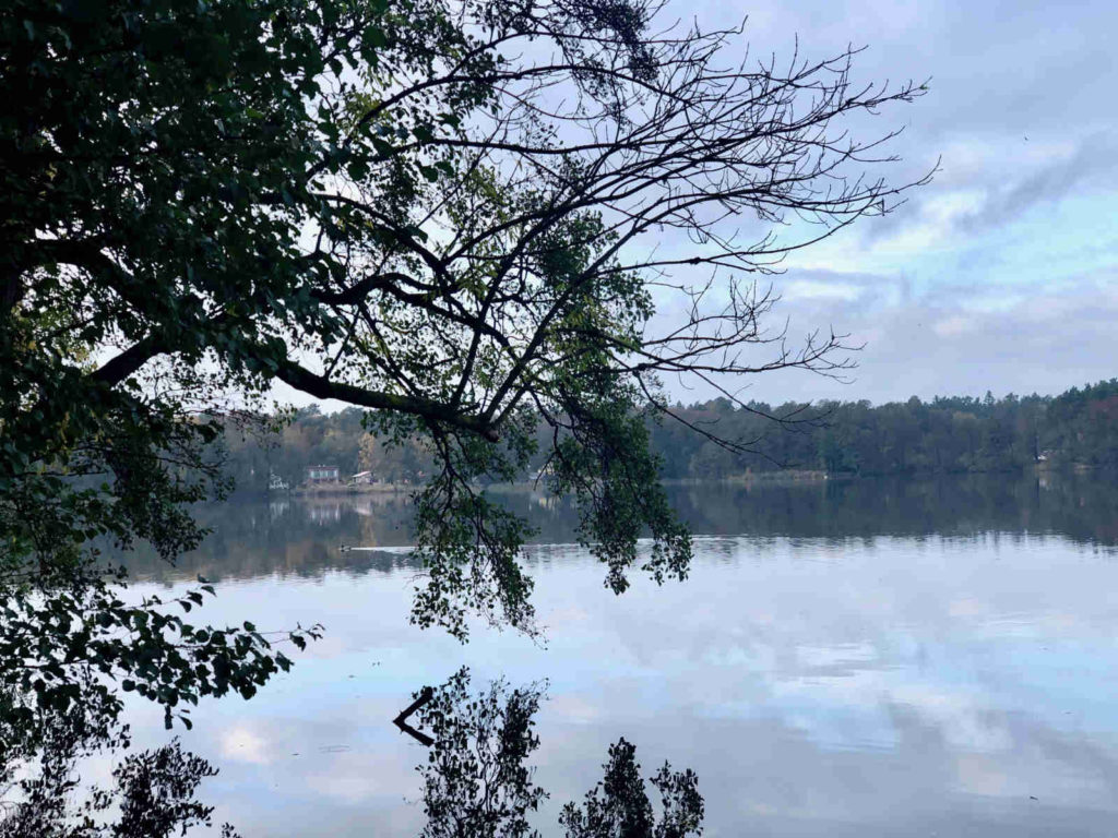 Makler Oberhavel: der Summter See