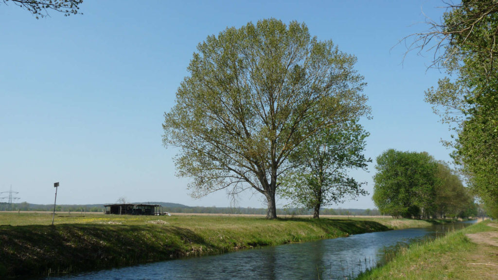 Makler Teltow-Fläming TF - Nuthe Kanal Trebbin