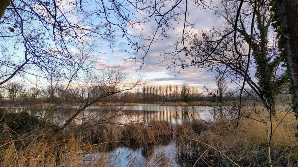 Makler Uckermark UM - Tonsee Mittenwalde