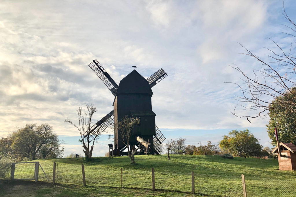 Makler Werder - die historische Bockwindmühle am Mühlenberg