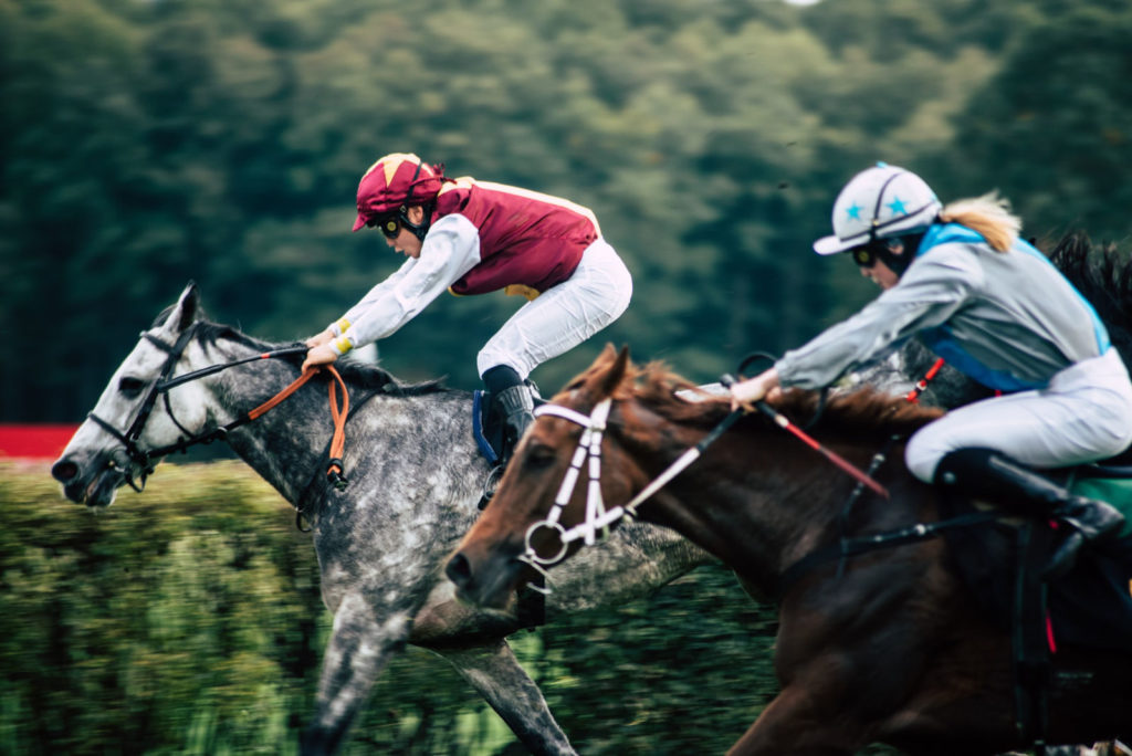 Makler Hoppegarten: Rennbahn