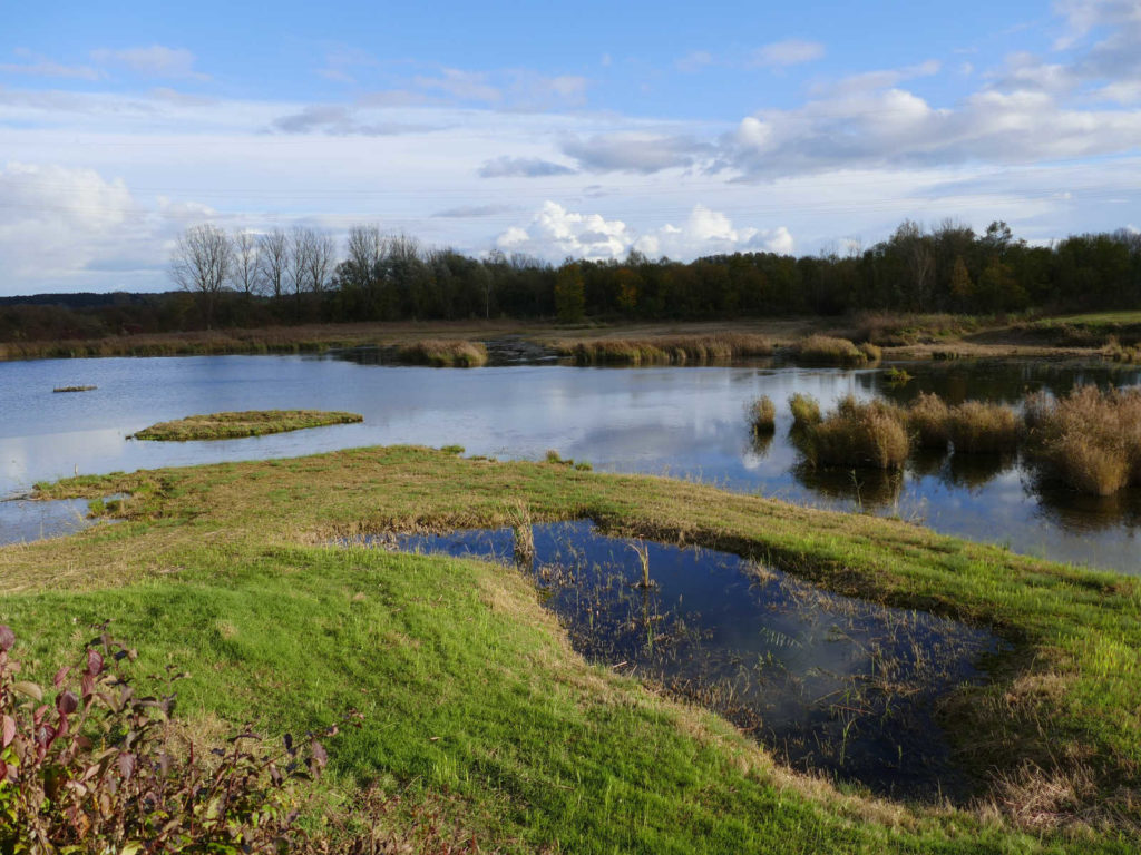 Makler Ludwigsfelde - Biospärenreservat