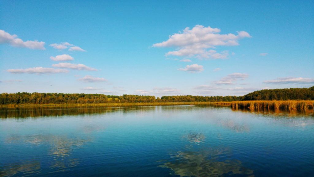 Makler Märkisch Buchholz - Köthener See