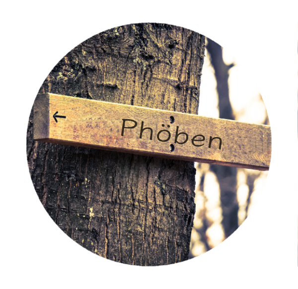 Makler in Phöben 14542: Wegweiser
