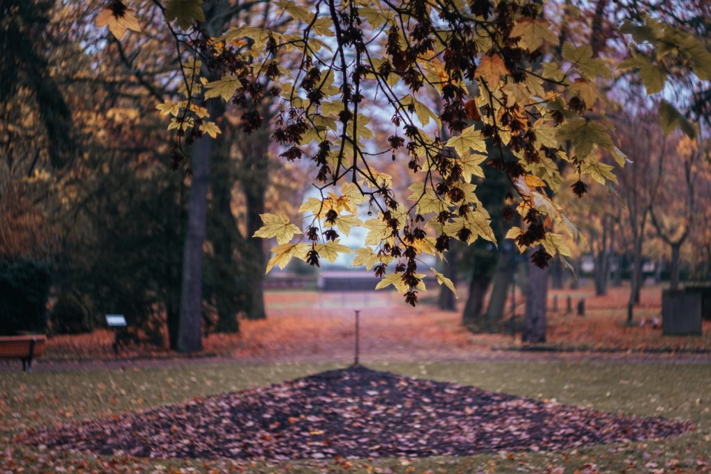Makler Friedrichsfelde: Friedrichsfelde Zentralfriedhof