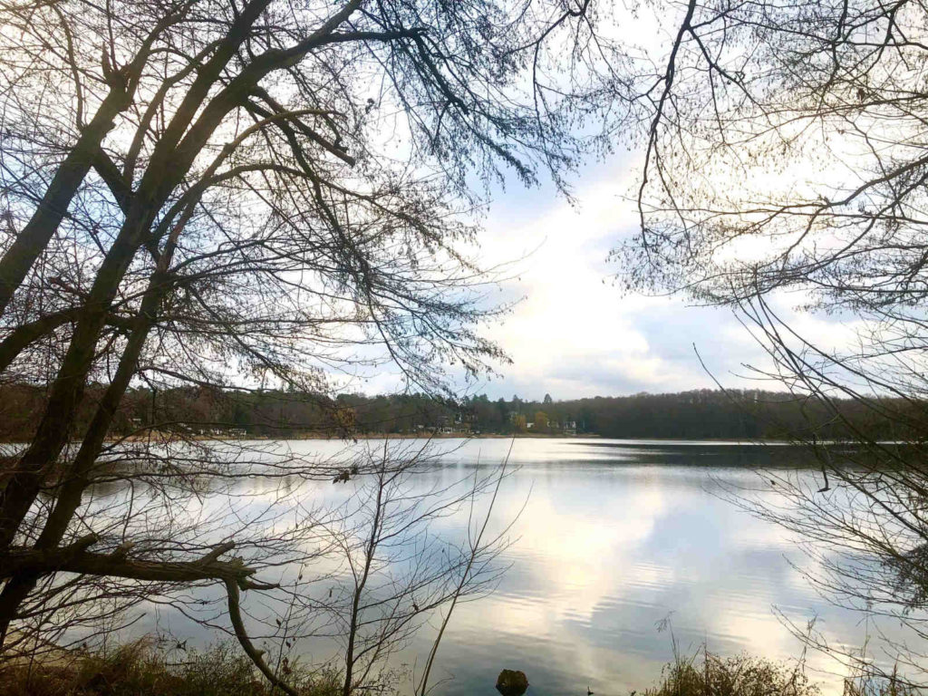Makler Groß Glienicke - See