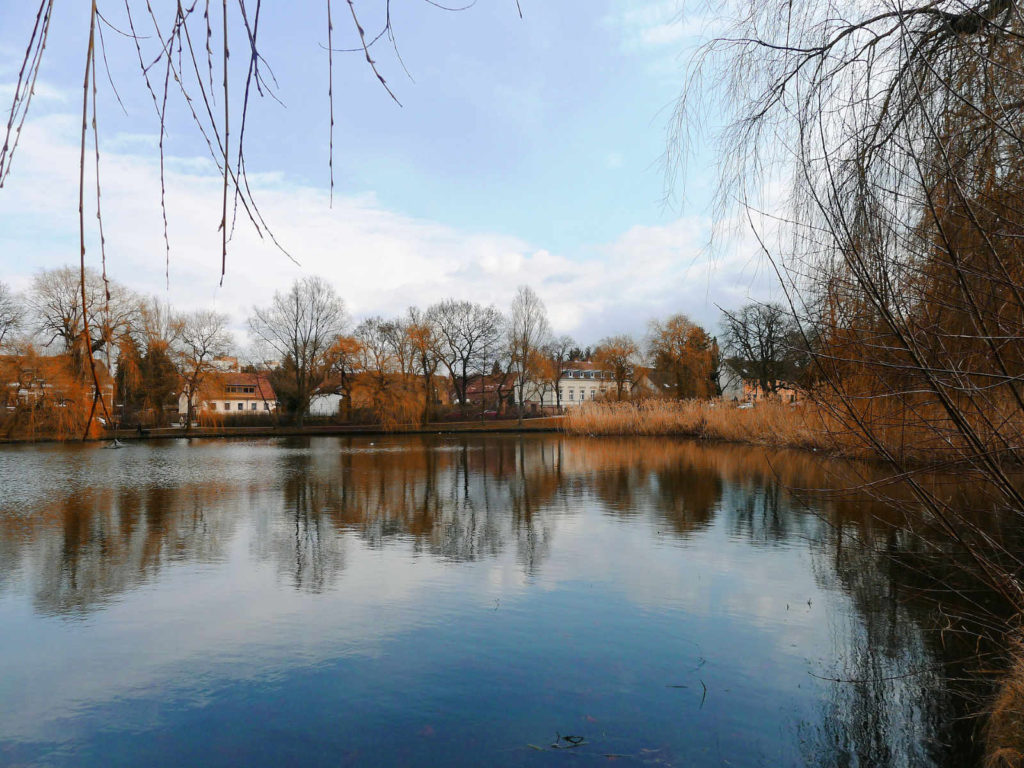 Makler Lichtenrade: Dorfteich