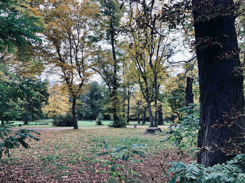 Makler Niederschönhausen: Am Schlosspark
