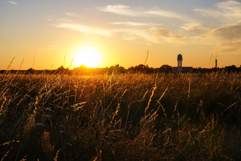 Makler Tempelhof: Tempelhofer Feld