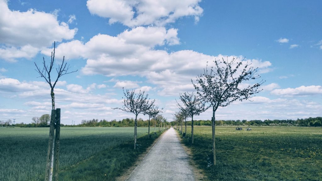 Makler Wartenberg: Feldmark Natur
