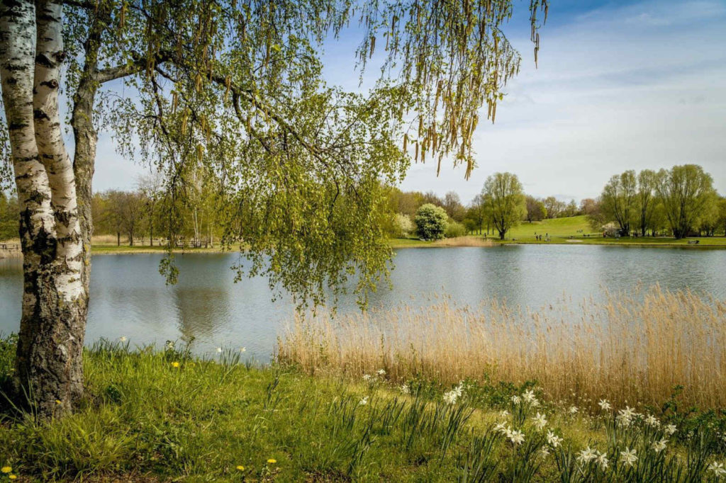Makler Britz: Naturlagen