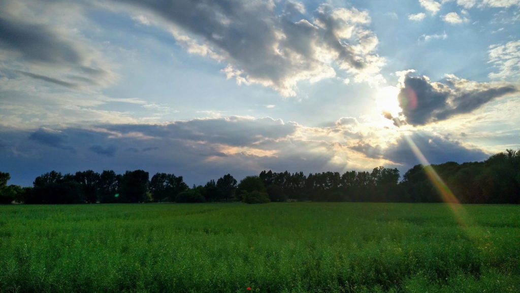 Makler Berlin-Malchow: Natur