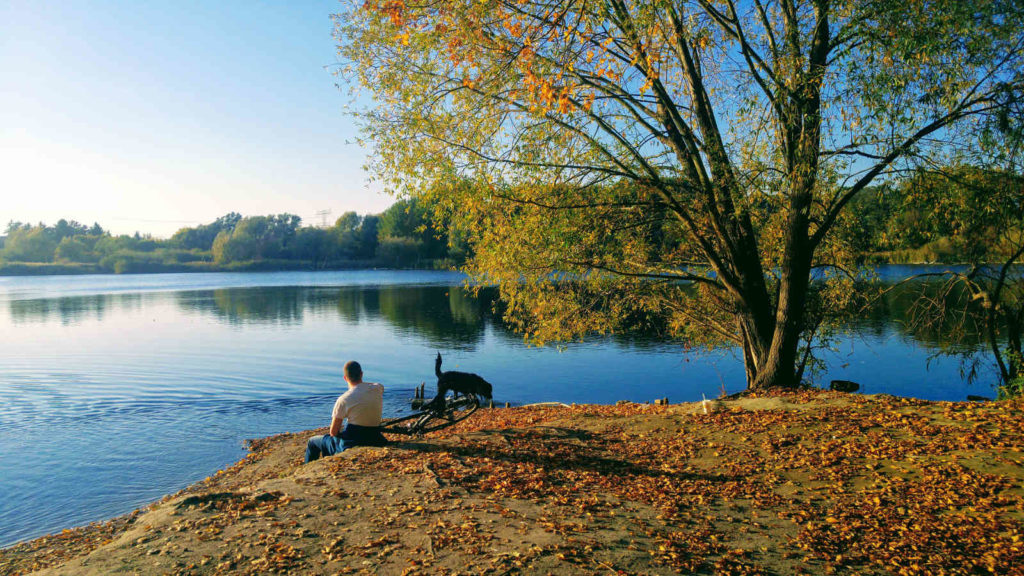 Makler Malchow: Malchower See