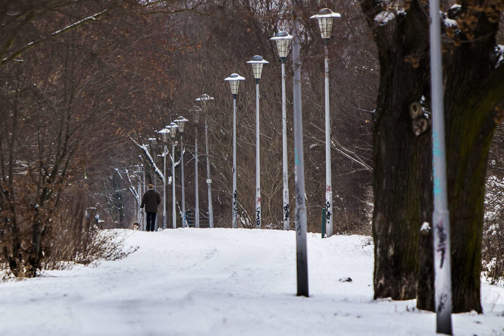 Makler Malchow: Park