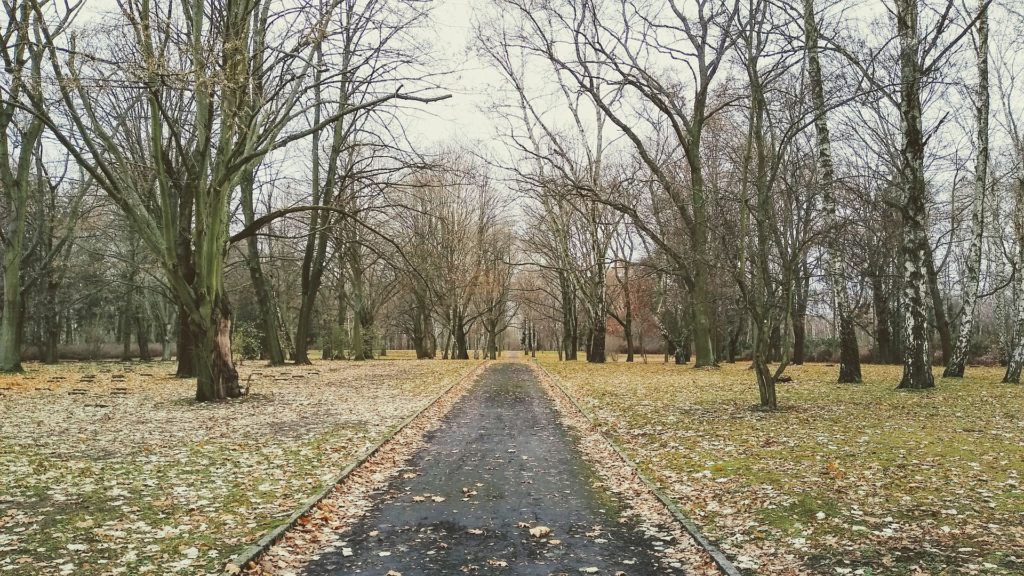 Makler Marzahn: Friedhof