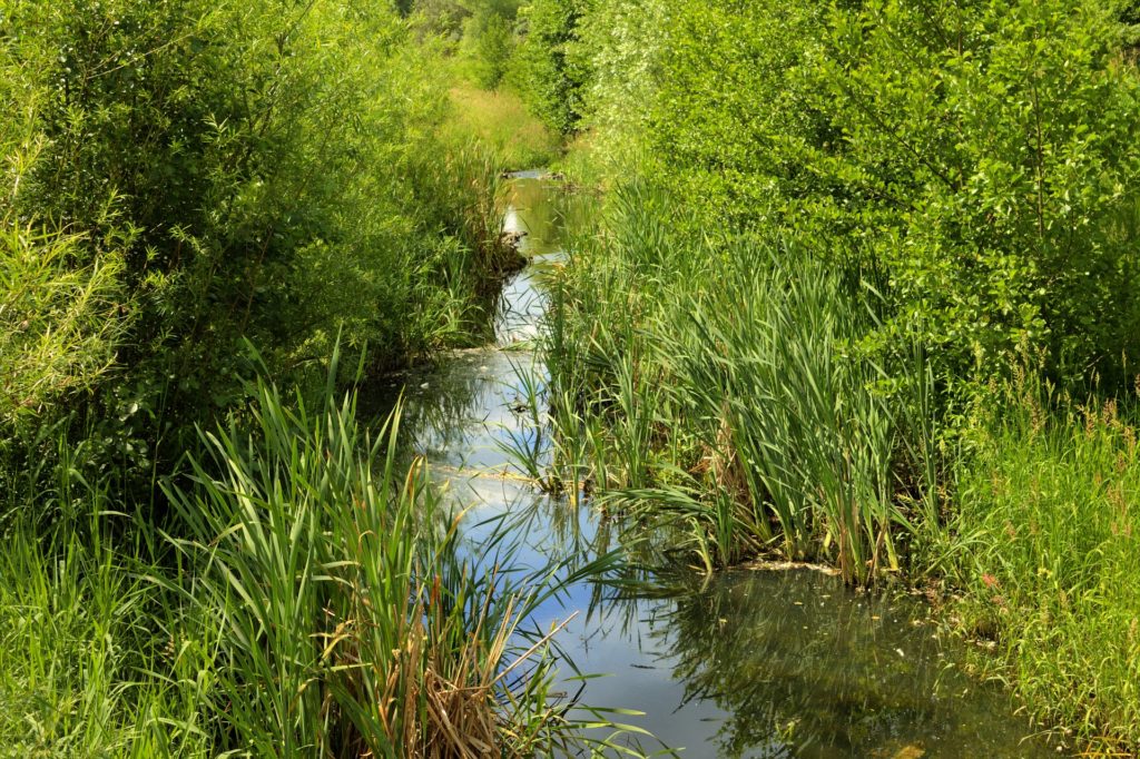 Makler Hellersdorf: Wuhletal