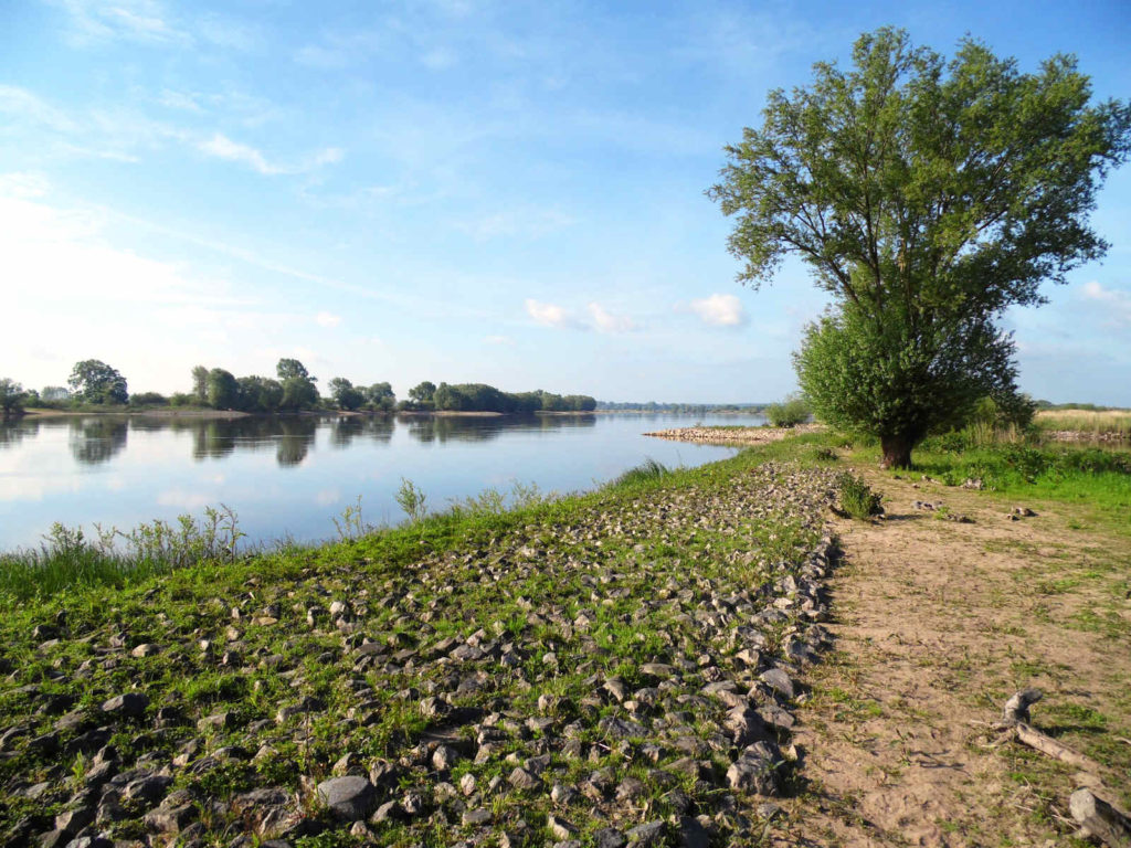 Makler Prignitz - Elbtalaue