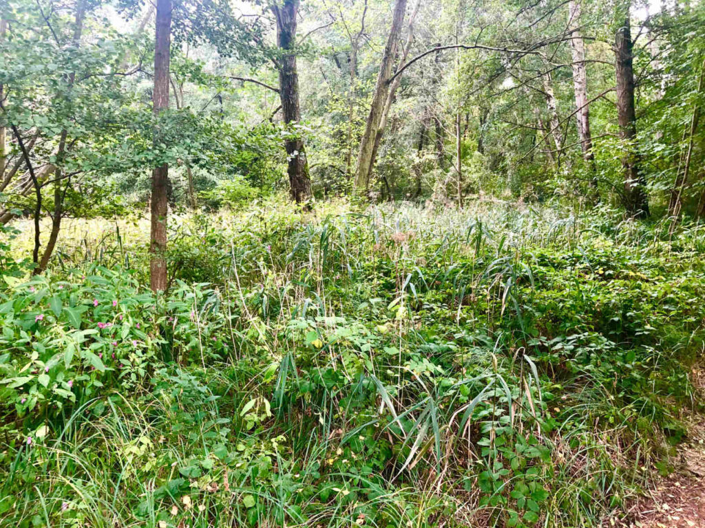 Makler Rabenstein/Fläming: Wandern