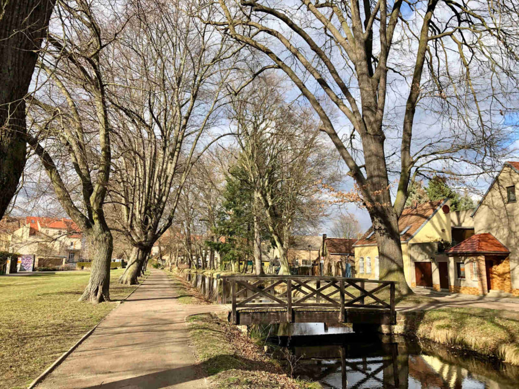 Makler Treuenbrietzen - Stadtpark